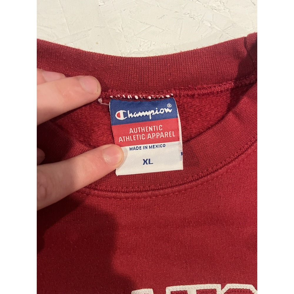Vintage Champion‎ Arkansas Razorbacks Embroidered Crewneck Sweatshirt Youth XL - Picture 8 of 11